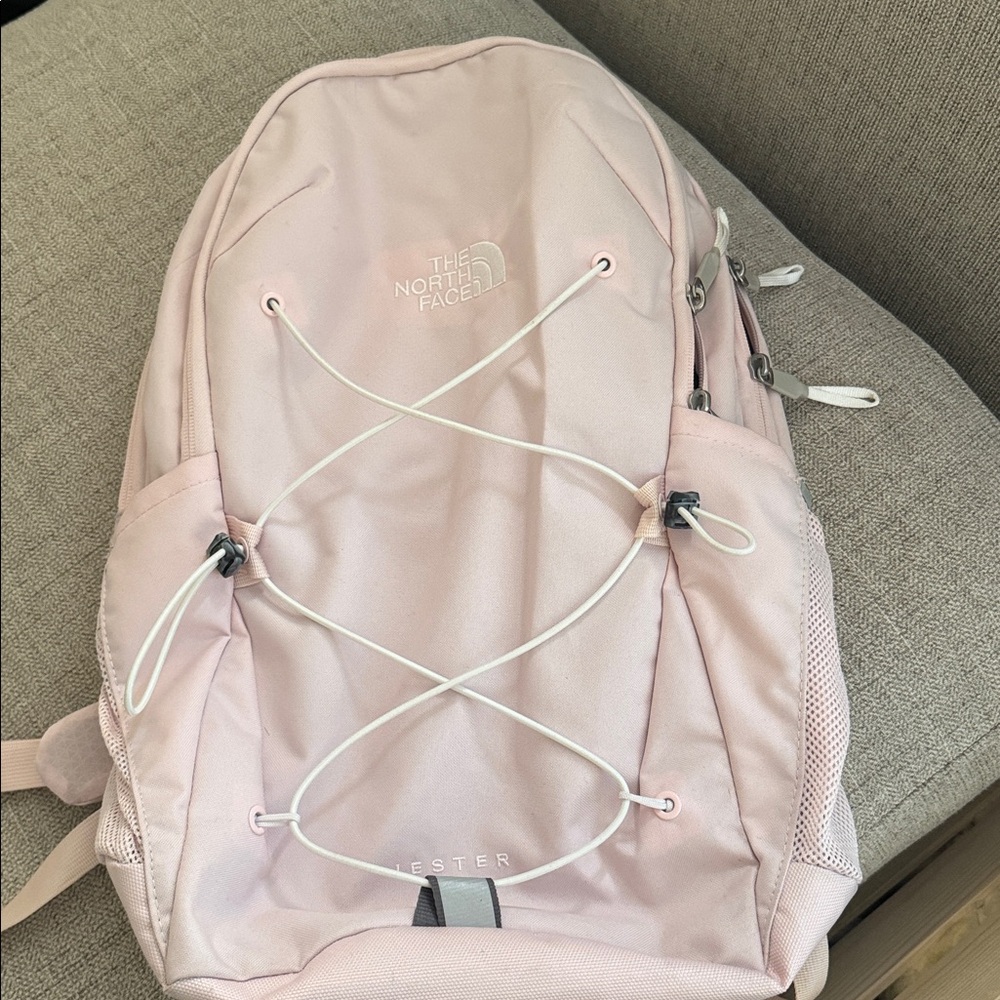 The North Face Light Pink Jester Backpack